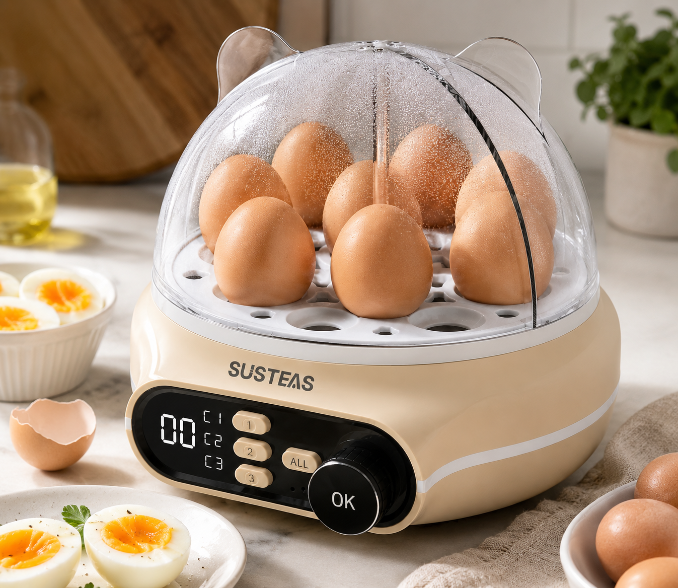Smart Rapid Egg Cooker with Automatic Cooking Control