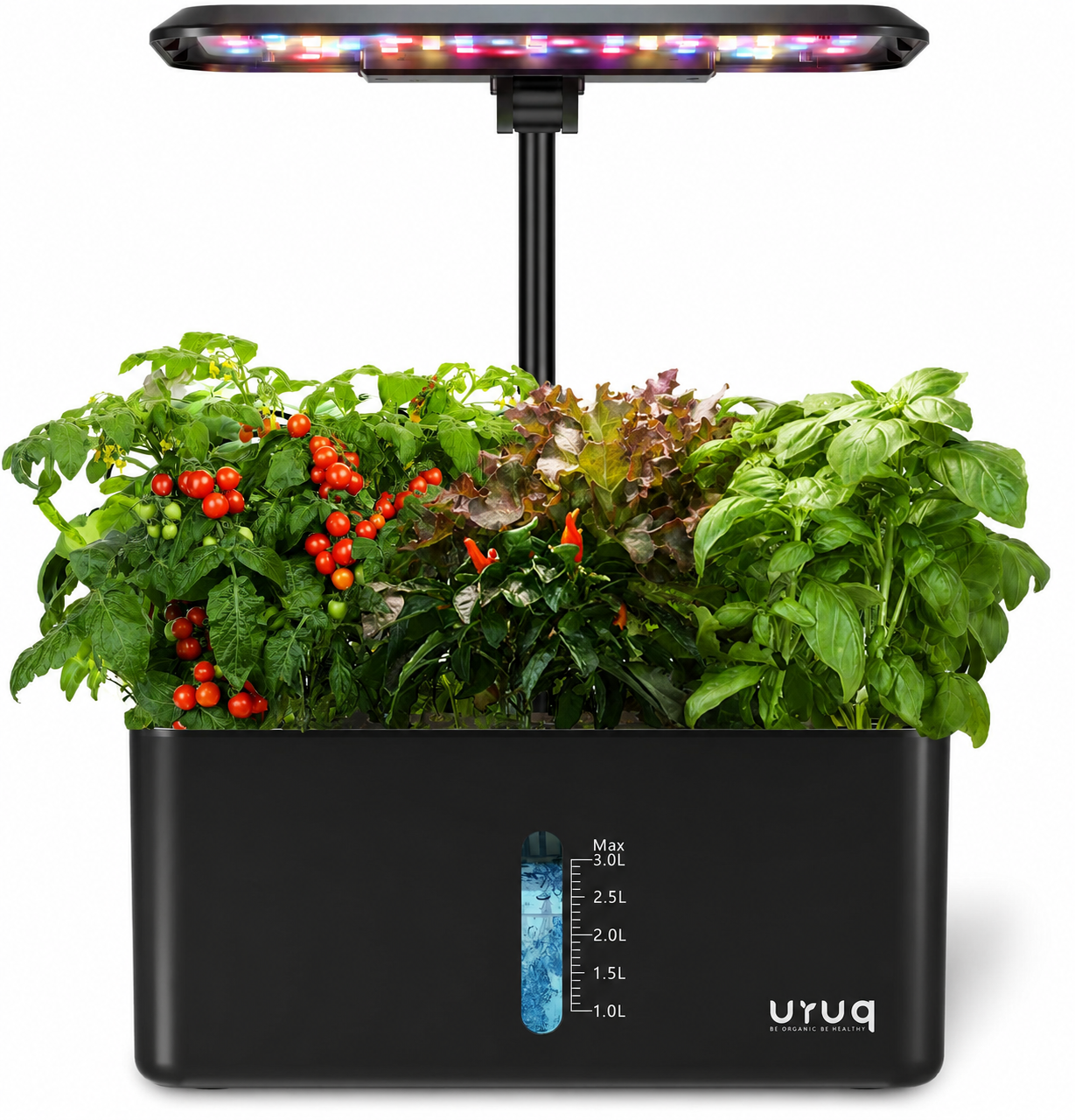 Indoor Hydroponic Garden with Smart Grow Light for Fresh Herbs