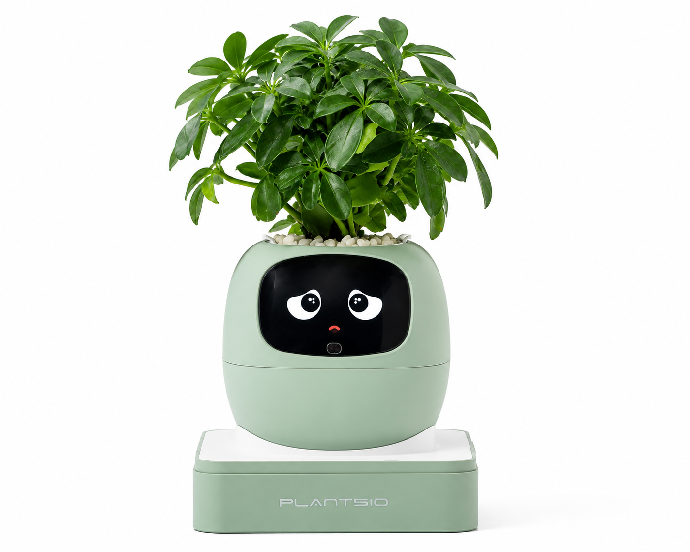Plantsio Smart Interactive Plant Companion